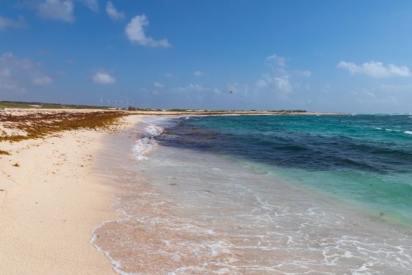 Boca Grandi Strand Aruba