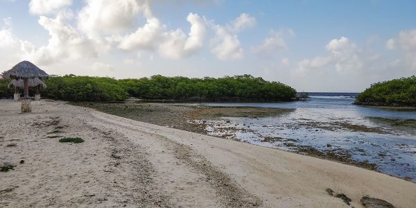 Der Strand Mangel Halto Aruba