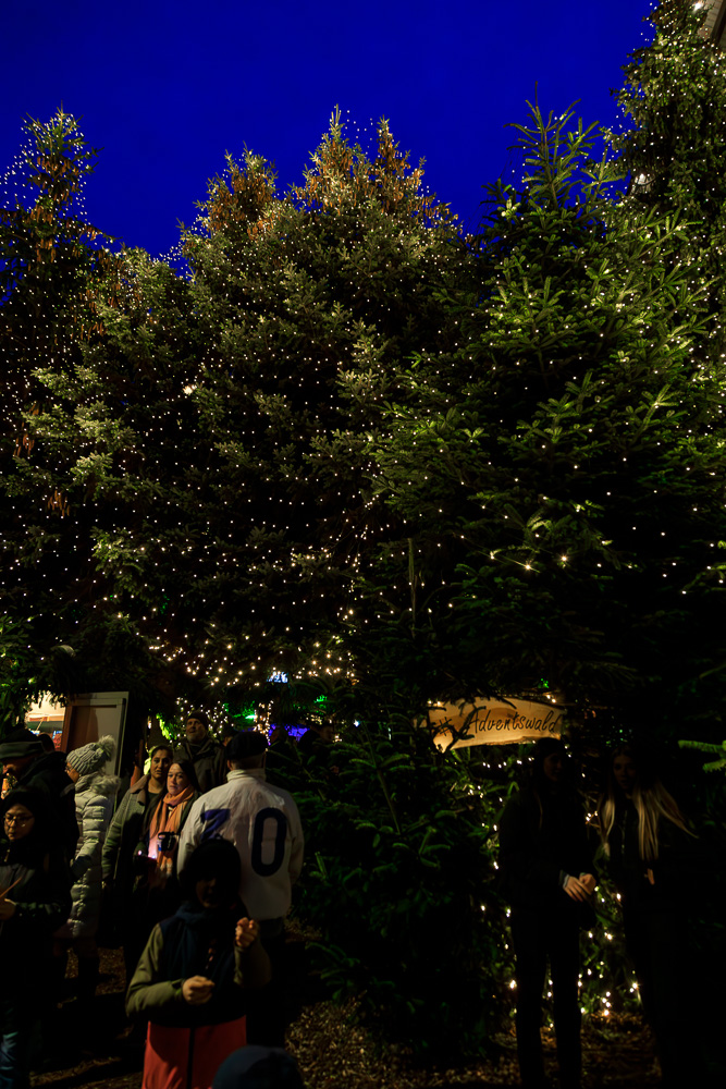 Weihnachtsbäume mit Lichterkettenetzen und Menschen, die unter ihnen stehen