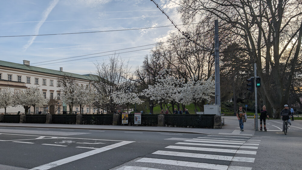 Mirabellgarten Salzburg mit blühenden Bäumen